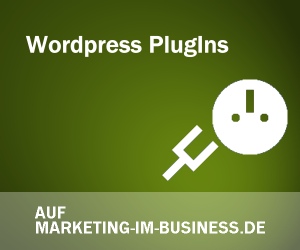 Wordpress Plugins, Blogs, Nischenseiten, Websites