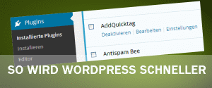 Wordpress schneller machen